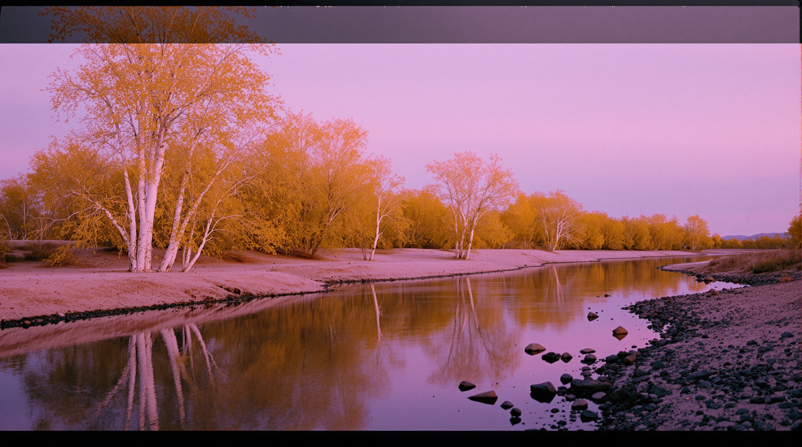 A quiet desert wash after rain, with still water reflecting a violet dusk sky beneath cottonwood trees