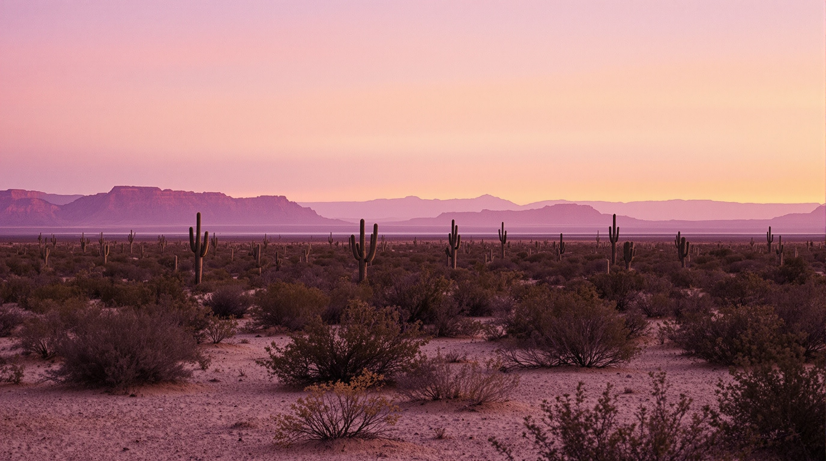 The Sonoran Desert at first light, with saguaro silhouettes and layered mesas fading into a long violet horizon